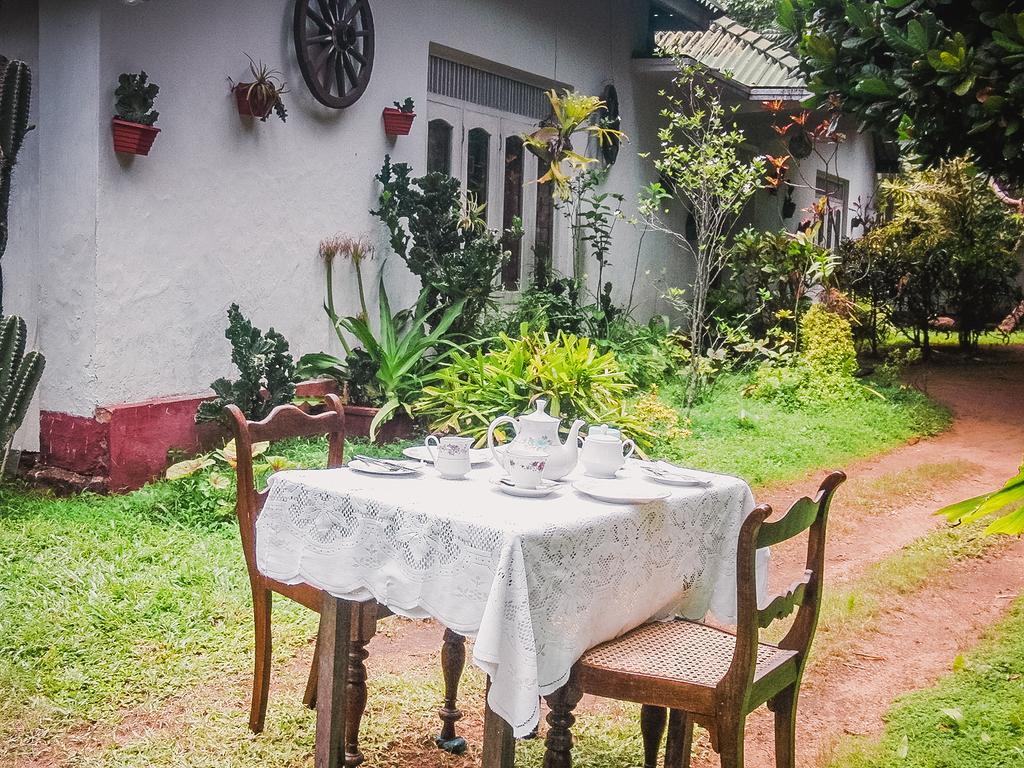 Shammie Guest House ヒッカドゥワ エクステリア 写真